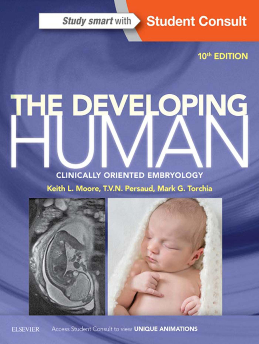 The Developing Human: Clinically Oriented Embryology PDF Download
