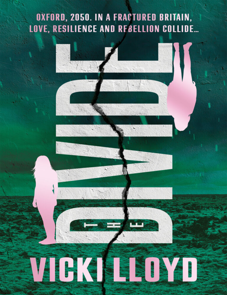 The Divide Vicki Lloyd Kitap Kapağı