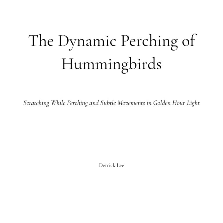 The Dynamic Perching of Hummingbirds Derrick Lee Kitap Kapağı