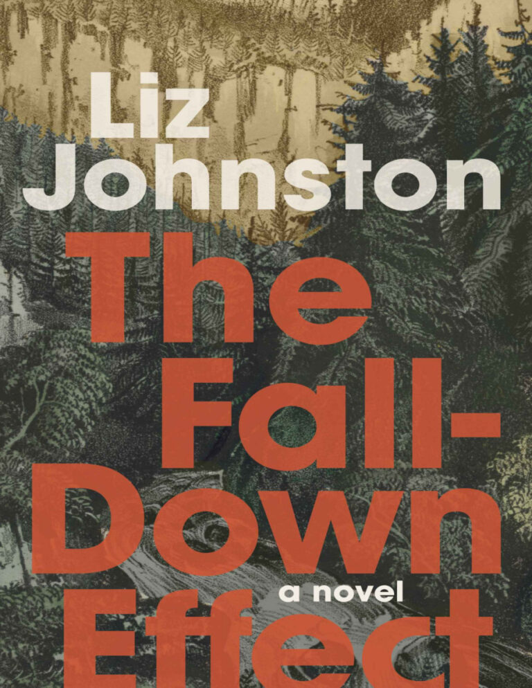The Fall Down Effect Liz Johnston Kitap Kapağı
