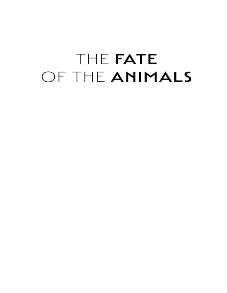 The Fate of the Animals Morgan Meis Kitap Kapağı