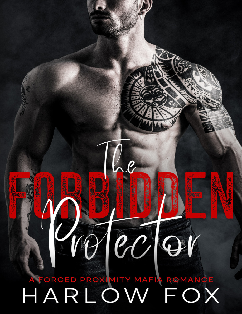 The Forbidden Protector Harlow Fox Kitap Kapağı