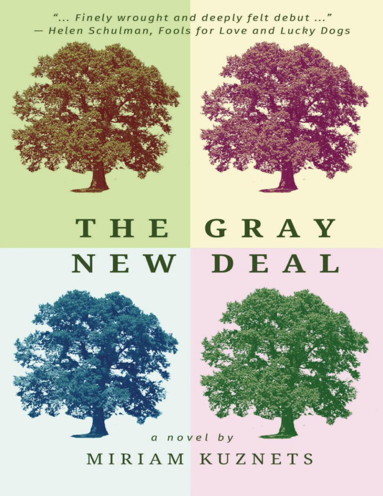 The Gray New Deal Miriam Kuznets Kitap Kapağı