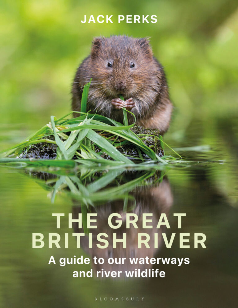 The Great British River Jack Perks Kitap Kapağı