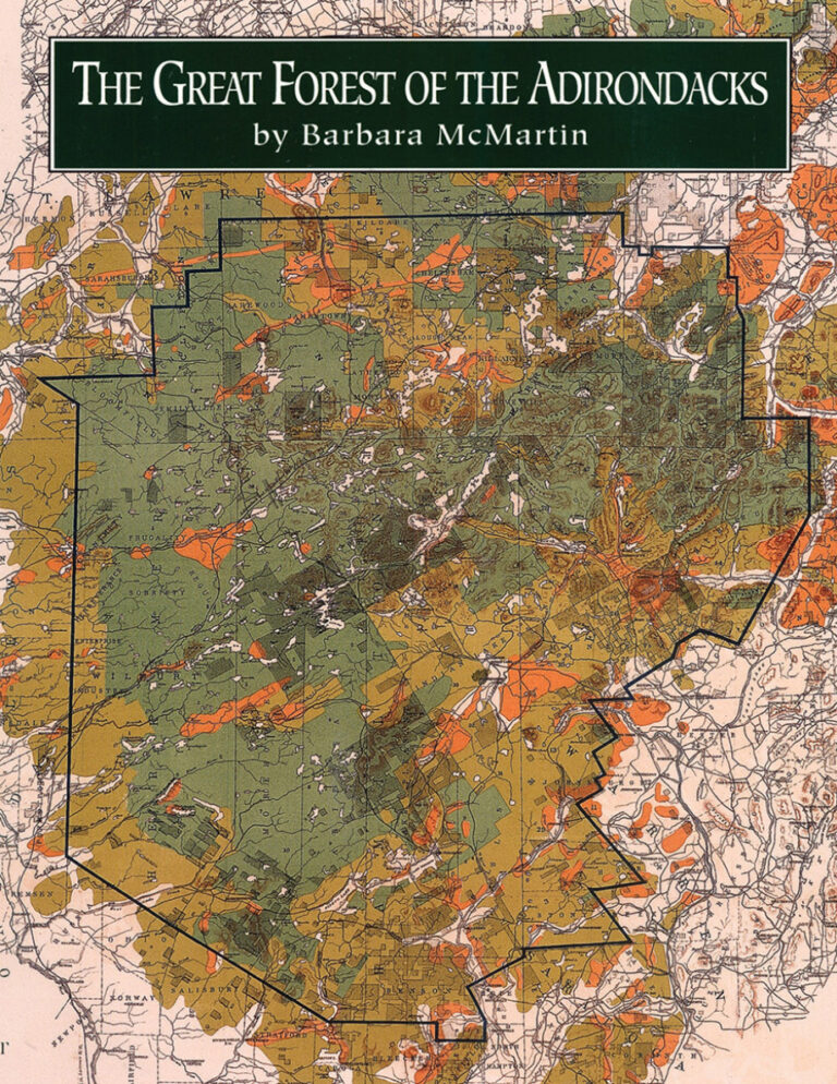 The Great Forest of the Adirondacks Barbara McMartin Kitap Kapağı
