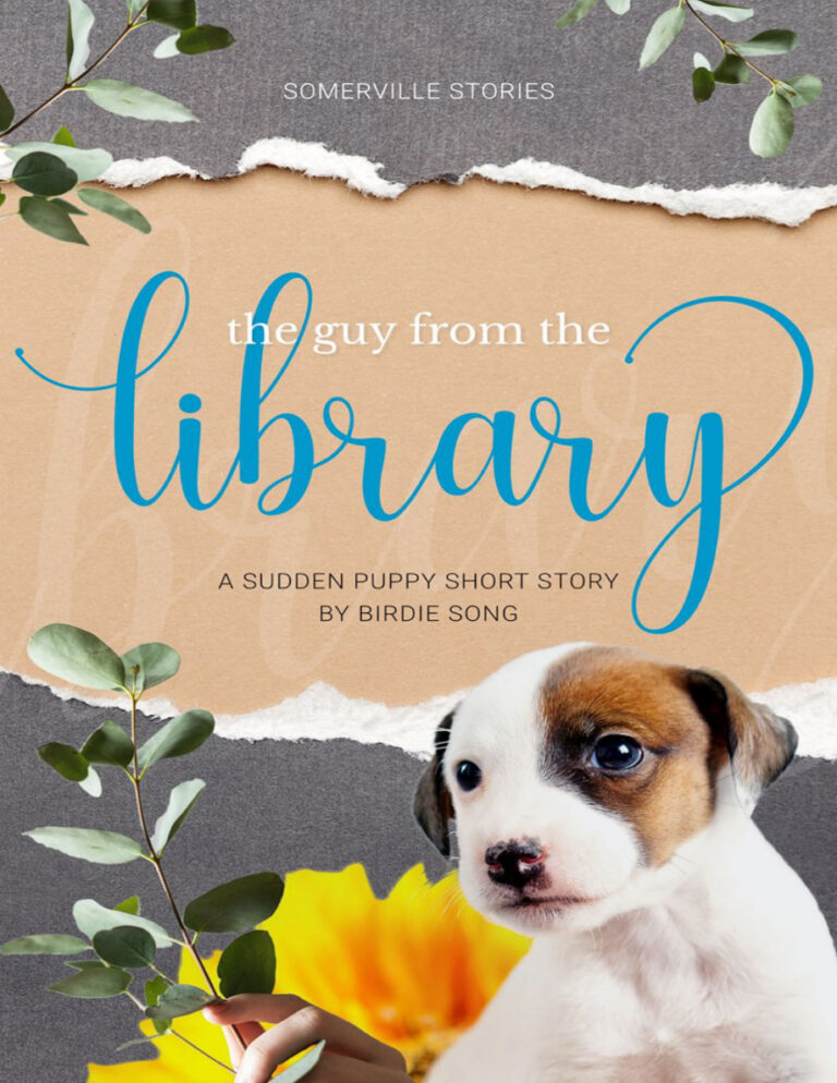 The Guy from the Library Birdie Song Kitap Kapağı