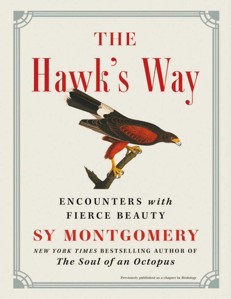 The Hawks Way Encounters with Fierce Beauty Sy Montgomery Kitap Kapağı