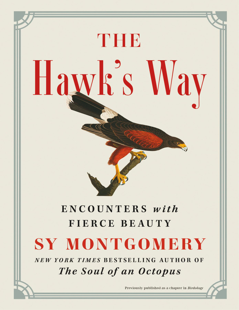The Hawks Way Encounters with Fierce Beauty Sy Montgomery Kitap Kapağı