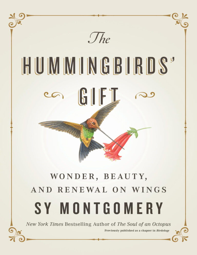 The Hummingbirds Gift Wonder Beauty and Renewal on Wings Sy Montgomery Kitap Kapağı