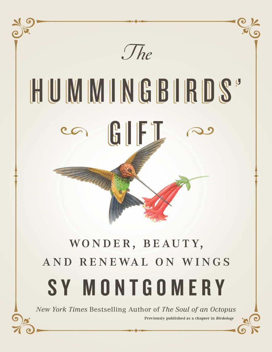 The Hummingbirds Gift Wonder Beauty and Renewal on Wings PDF Download