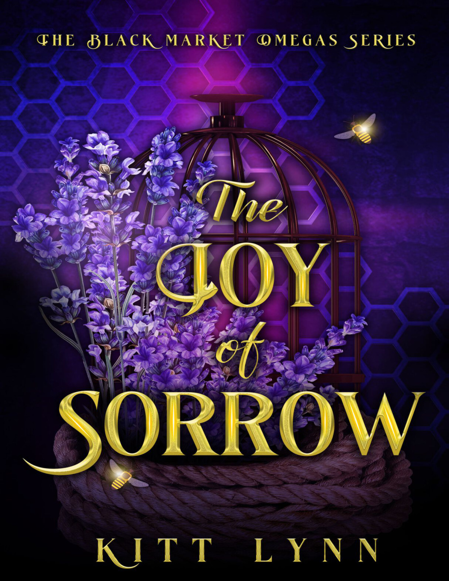 The Joy of Sorrow PDF Download