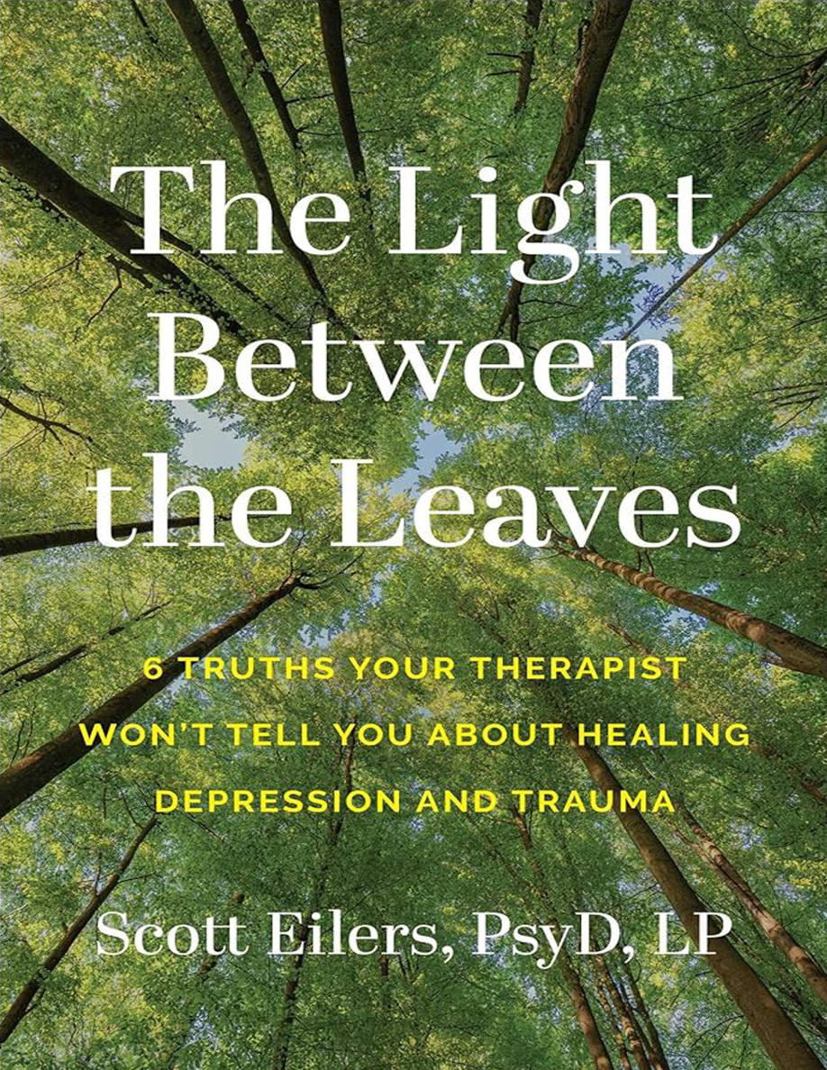 The Light Between the Leaves PDF Download