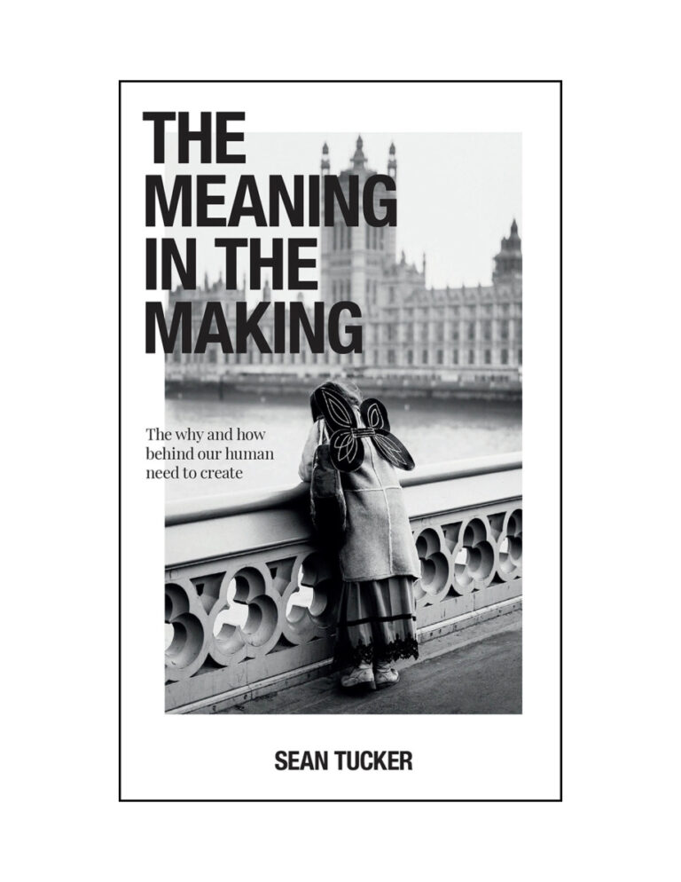 The Meaning and the Making Sean Tucker Kitap Kapağı