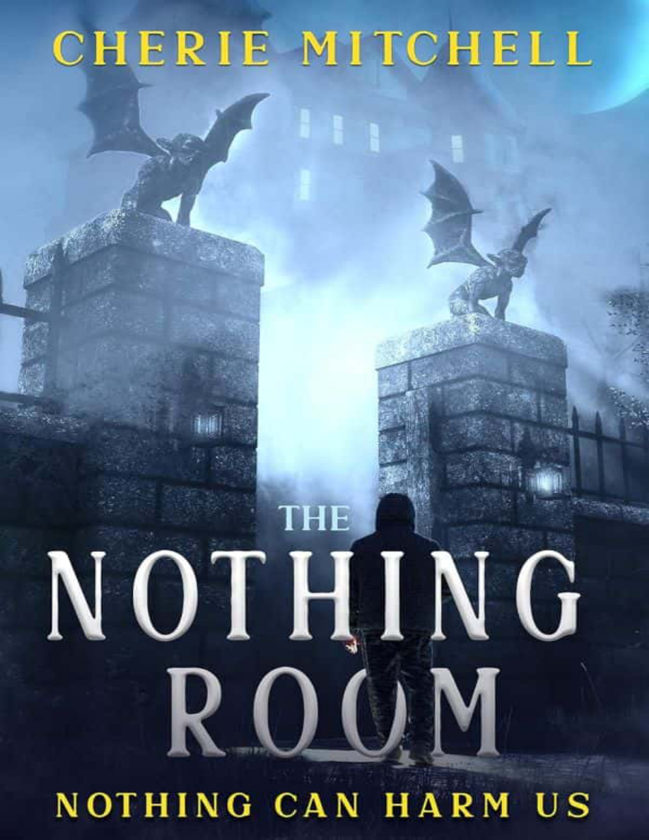 The Nothing Room Cherie Mitchell Kitap Kapağı