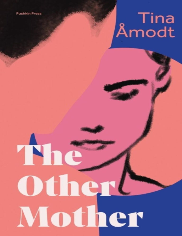 The Other Mother Tina Amodt Kitap Kapağı