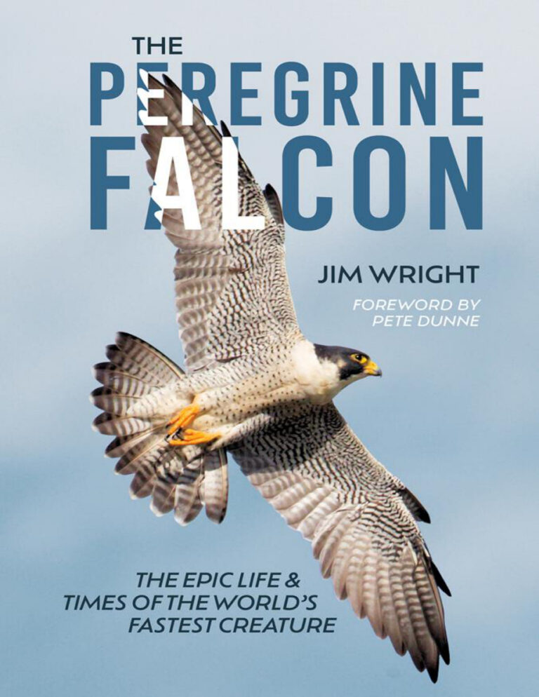 The Peregrine Falcon Jim Wright Kitap Kapağı
