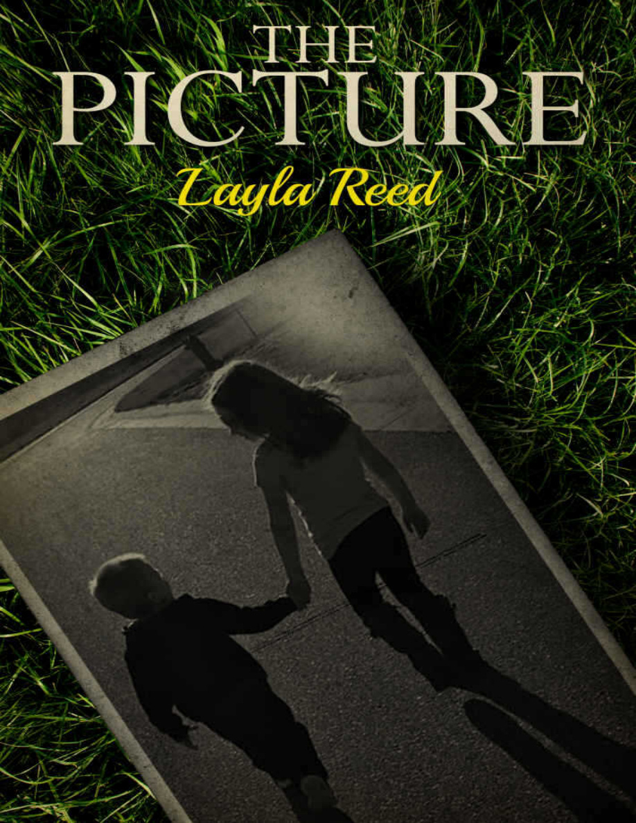 The Picture Layla Reed Kitap Kapağı