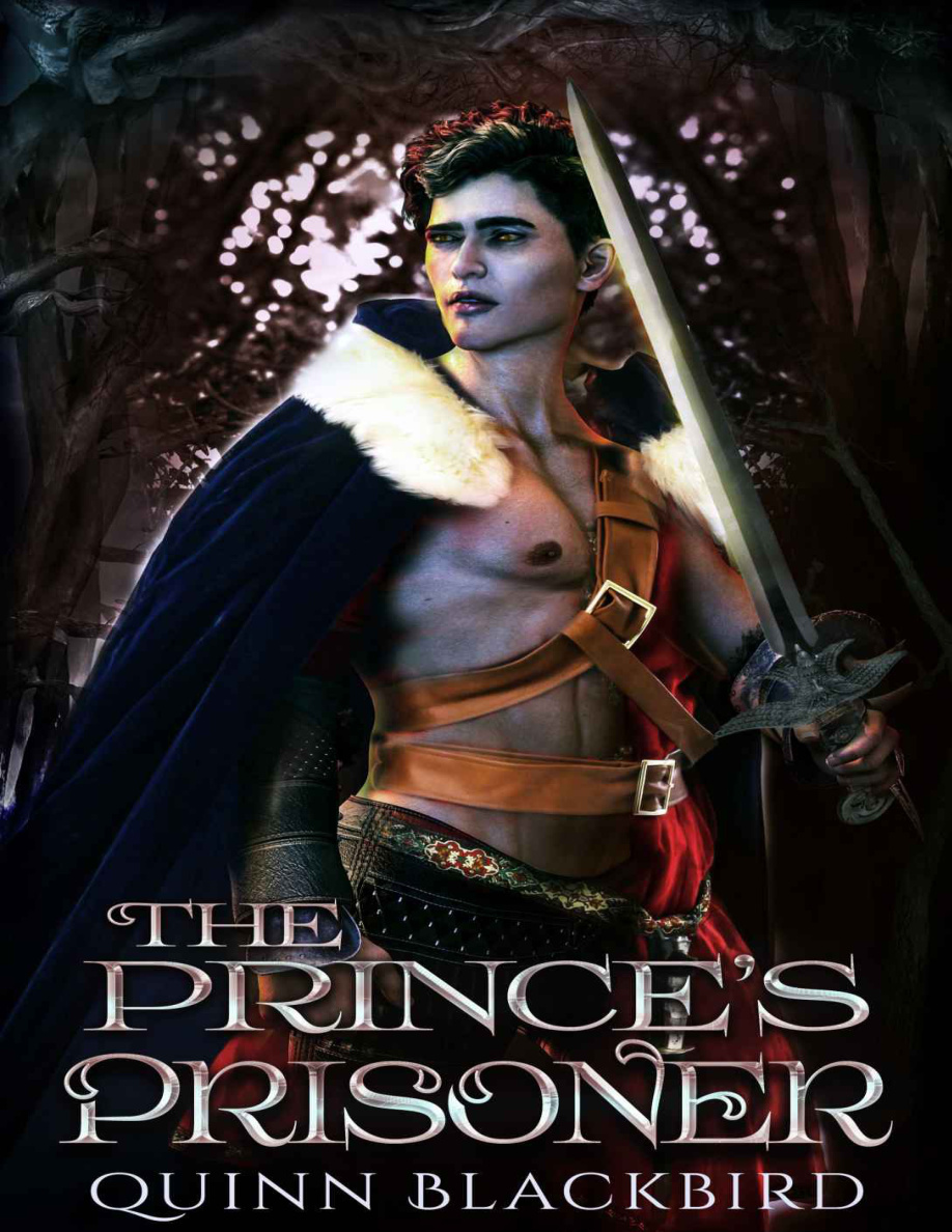 The Princes Prisoner Box Set Quinn blackbird Kitap Kapağı