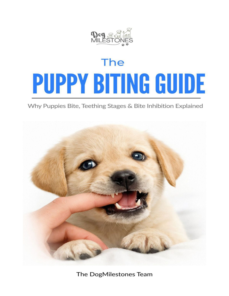 The Puppy Biting Guide Why Puppies The Dogmilestones Team Kitap Kapağı