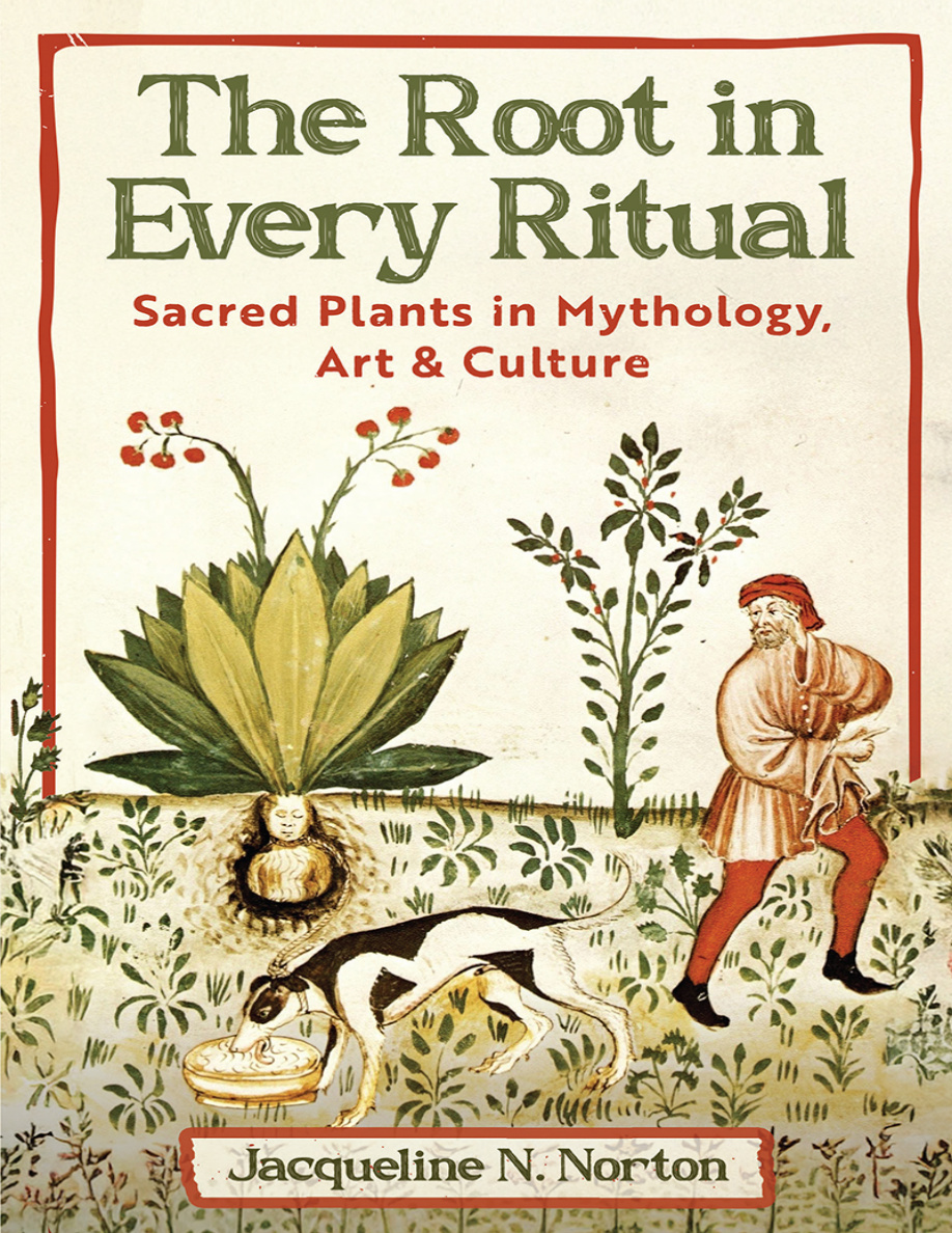 The Root in Every Ritual PDF Download