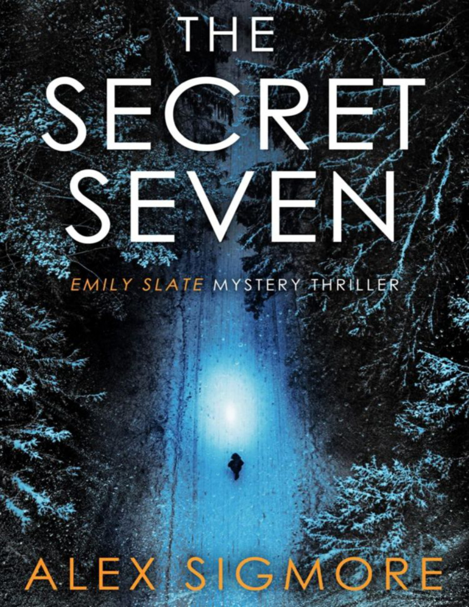 The Secret Seven PDF Download