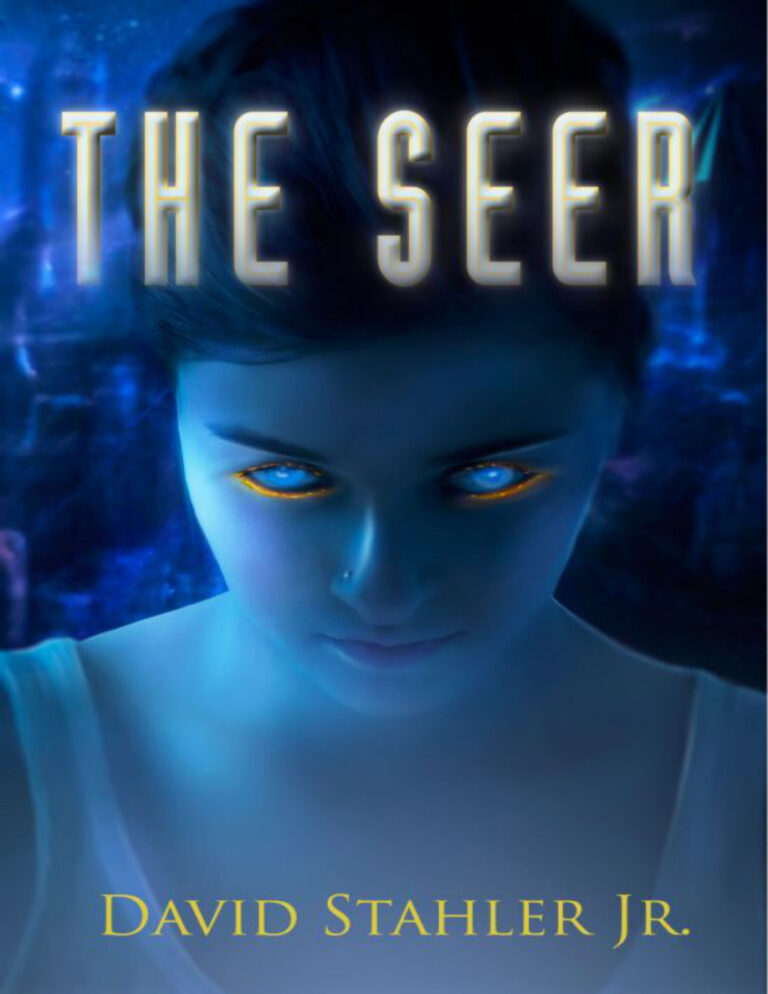 The Seer David Stahler Jr Kitap Kapağı
