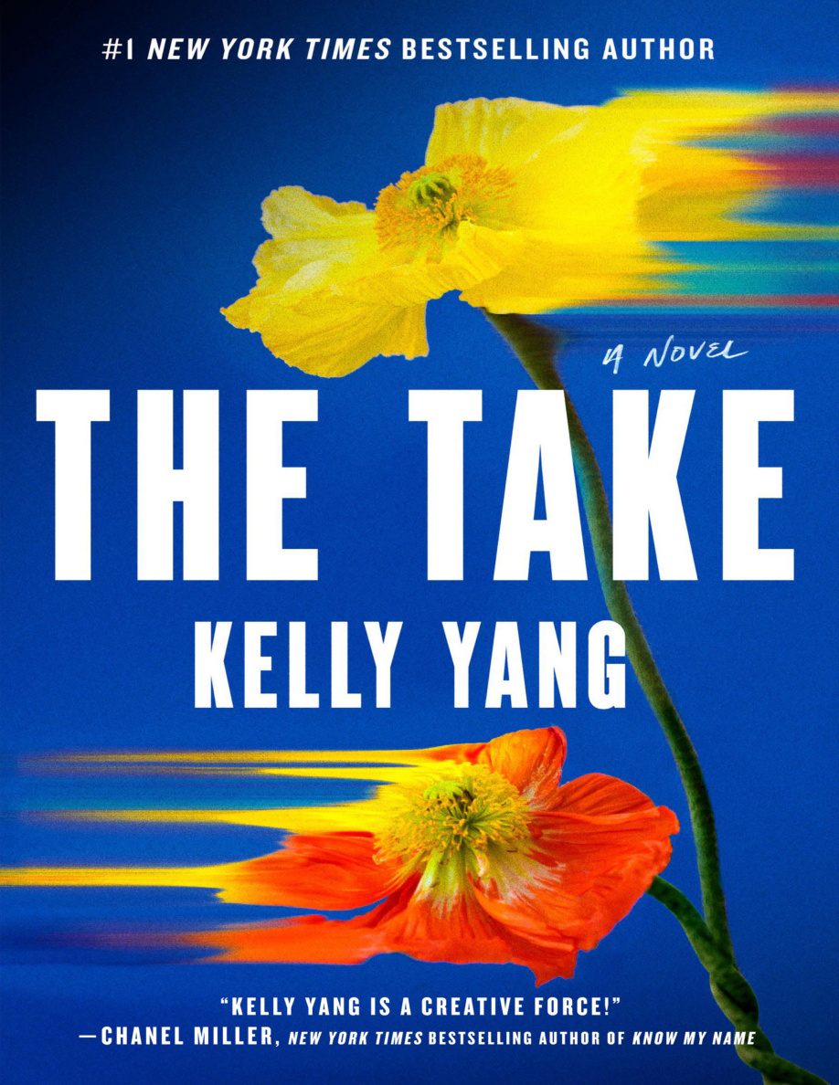 The Take PDF Download