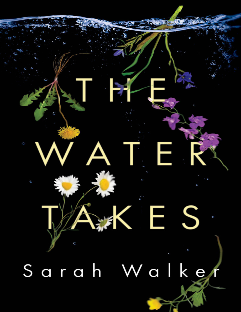 The Water Takes Sarah Walker Kitap Kapağı