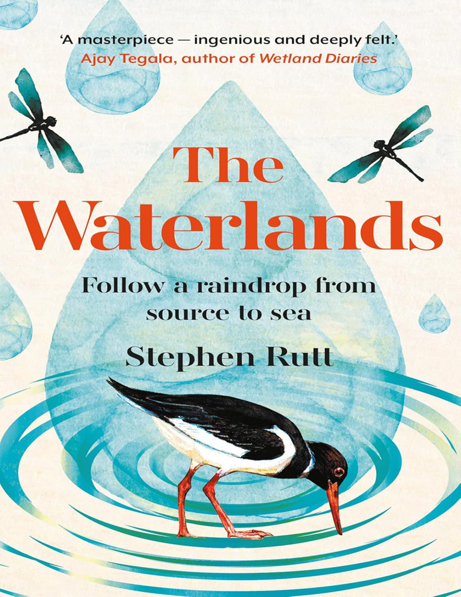 The Waterlands Follow a Raindrop Stephen Rutt Kitap Kapağı