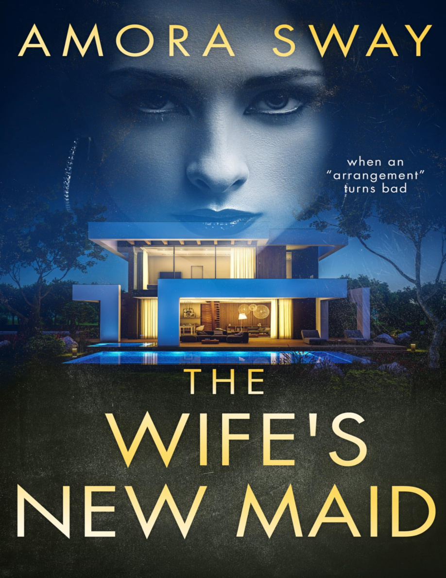 The Wifes New Maid PDF Download