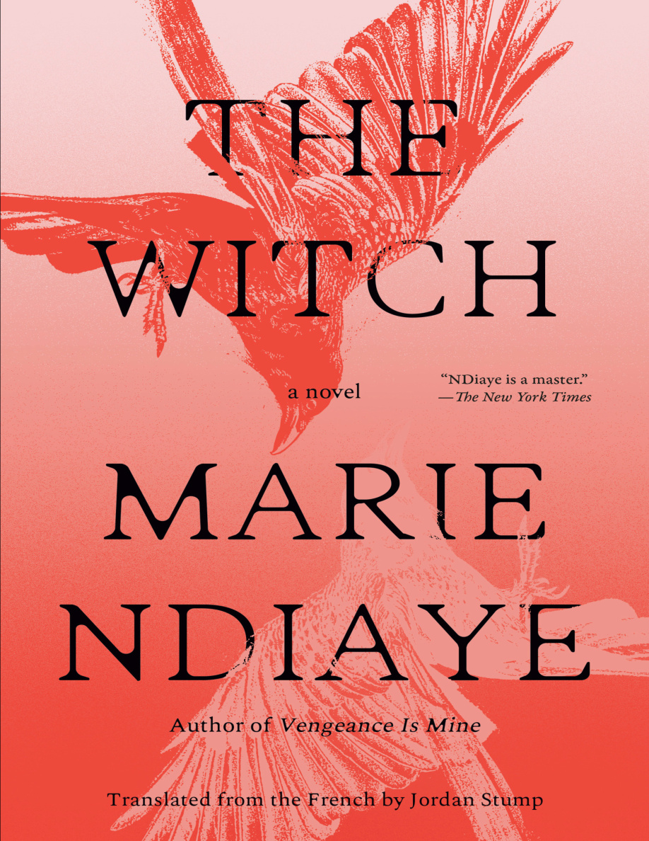 The Witch PDF Download