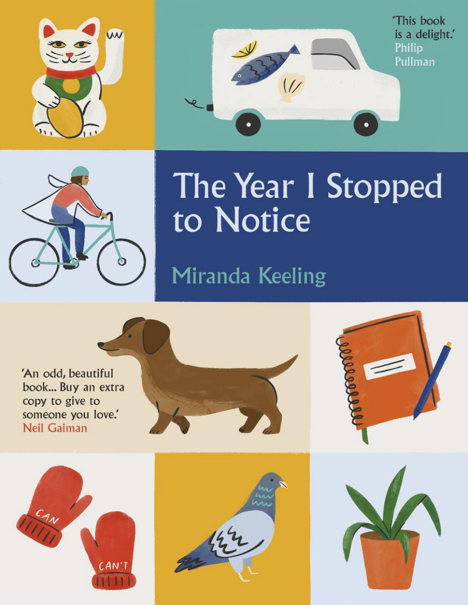 The Year I Stopped to Notice PDF Download