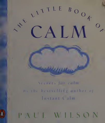 The little look of calm Paul Wilson Kitap Kapağı