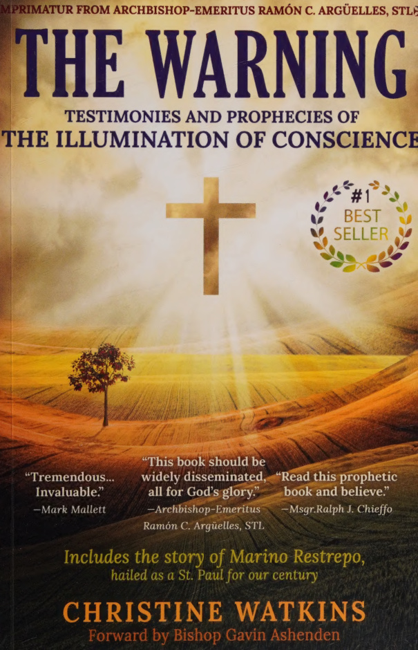 The warning Testimonies And Prophecies of illumination of conscience Christine Watkins Kitap Kapağı