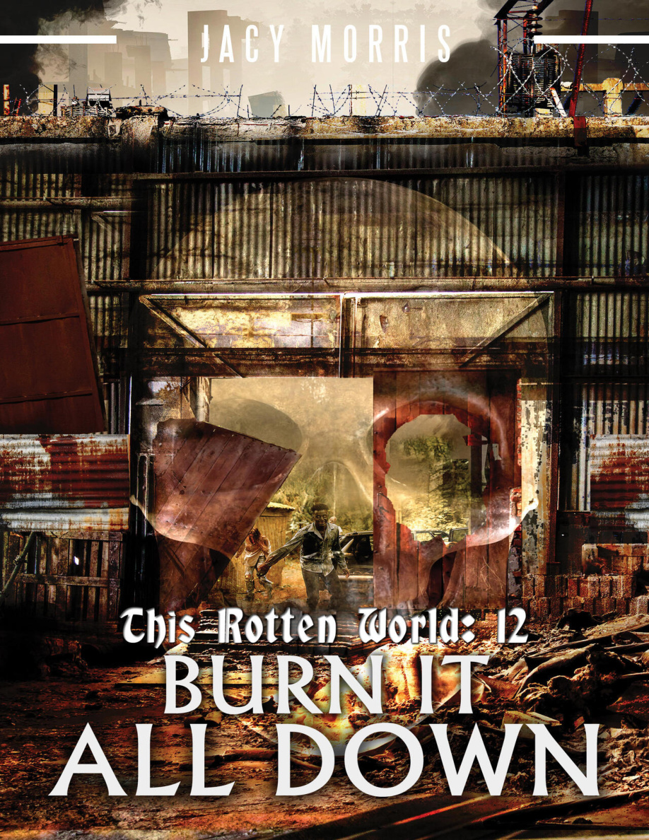 This rotten world 12 Burn it all down Jacy Morris Kitap Kapağı