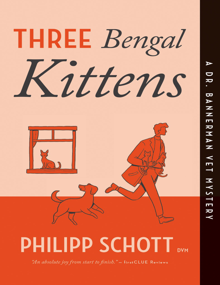 Three Bengal Kittens Philipp Schott Kitap Kapağı