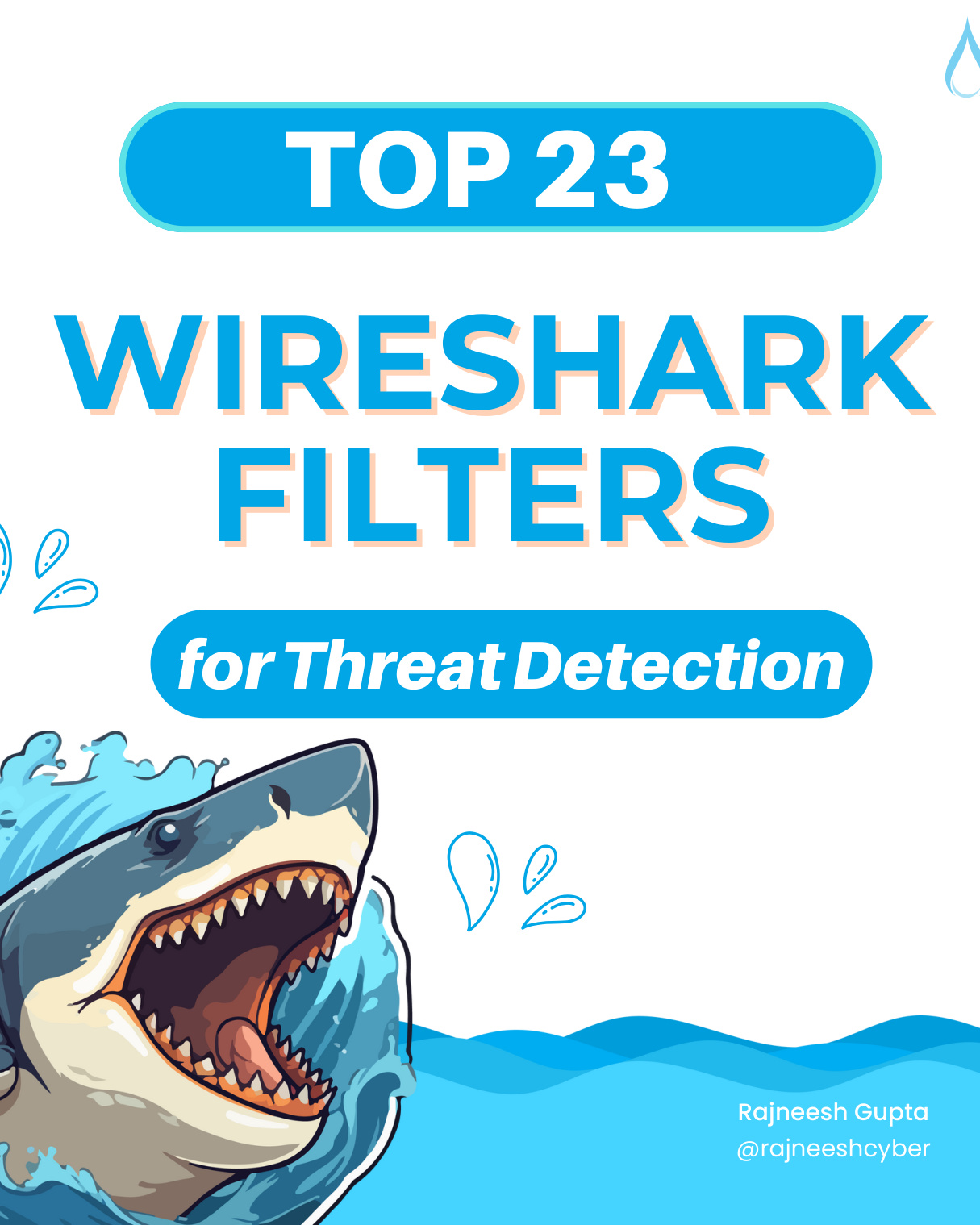 Top 23 Wireshark Filters for Malware Detection PDF Download