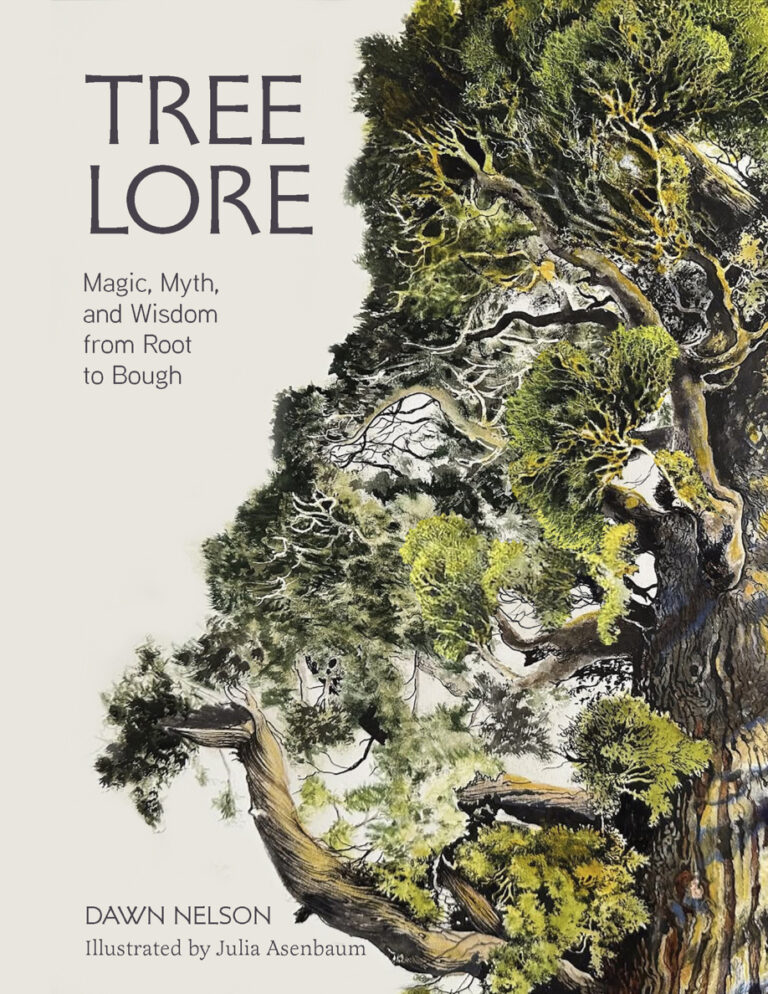 Tree Lore Dawn Nelson Kitap Kapağı