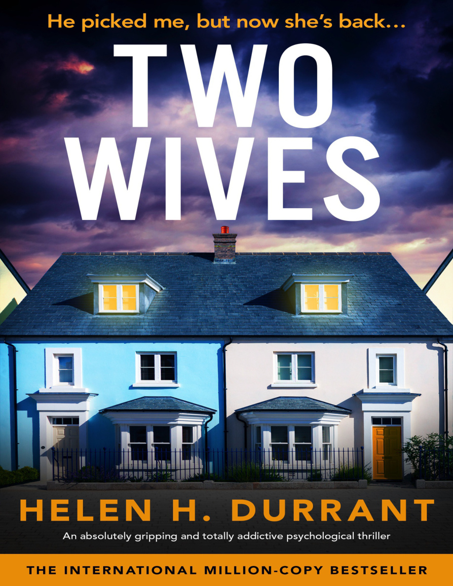Two Wives PDF Download