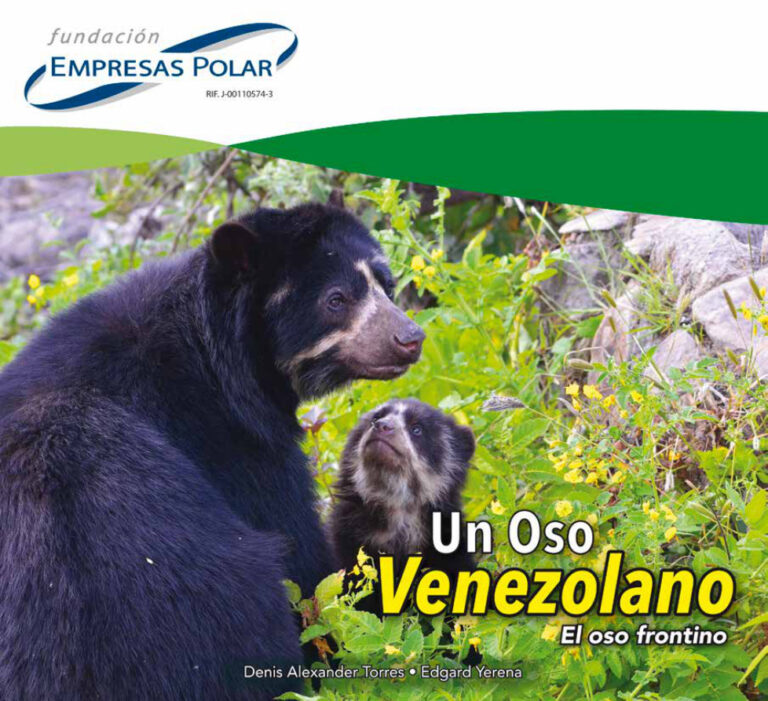 Un oso venezolano el oso frontino Spanish Edition Denis Alexander Torres Kitap Kapağı