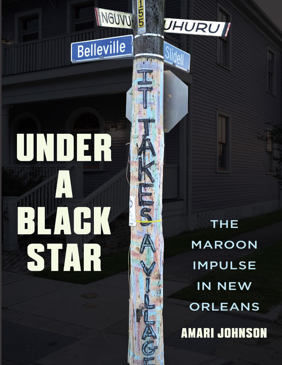 Under a Black Star PDF Download