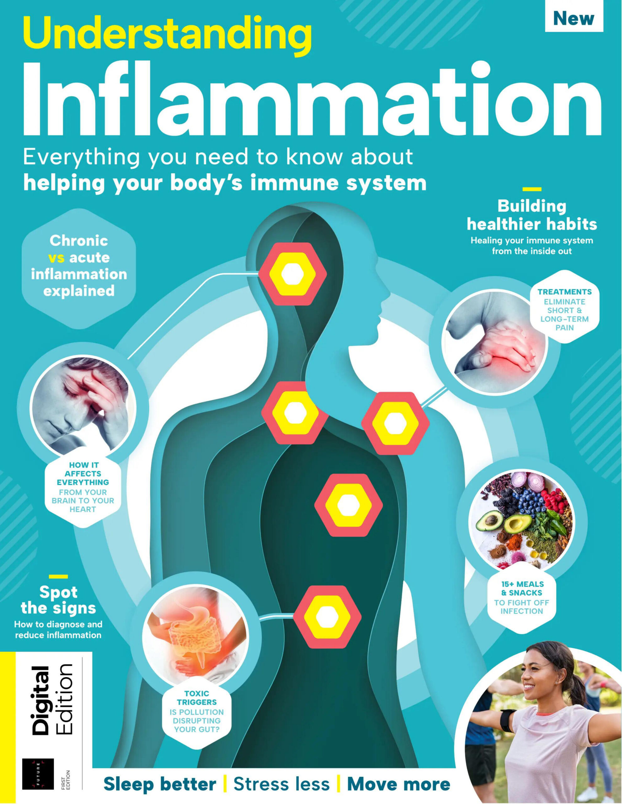 Understanding Inflammation - 1st Edition 2026 PDF Download