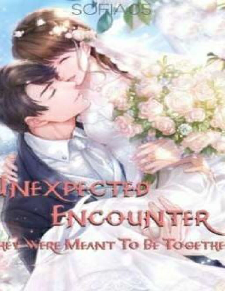 Unexpected encounter They were meant to be together Sofia05 Kitap Kapağı