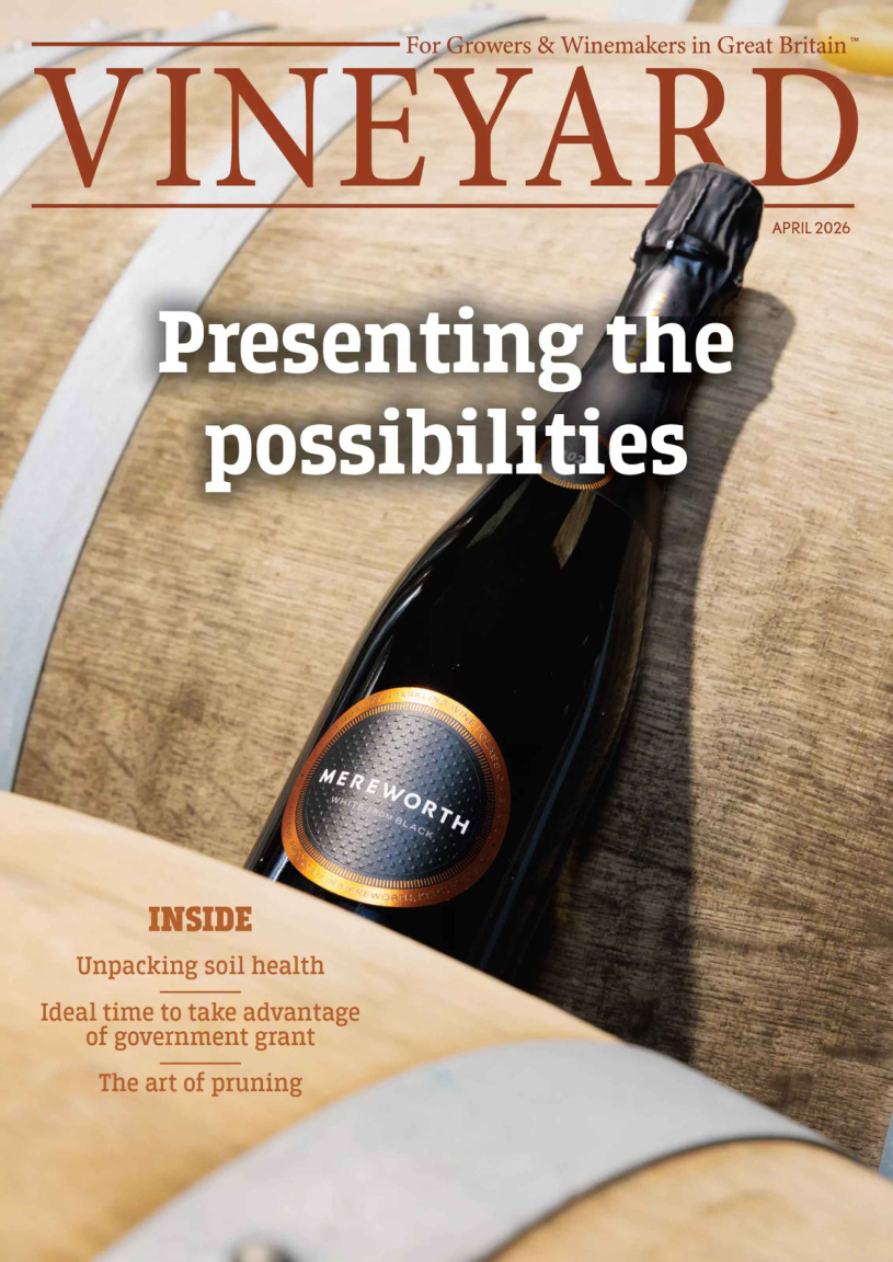 Vineyard - April 2026 PDF Download