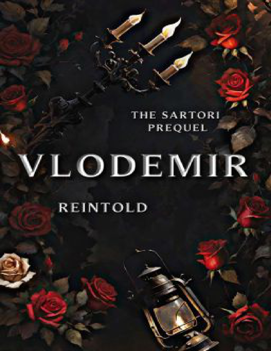 Vlodemir Reintold Kitap Kapağı