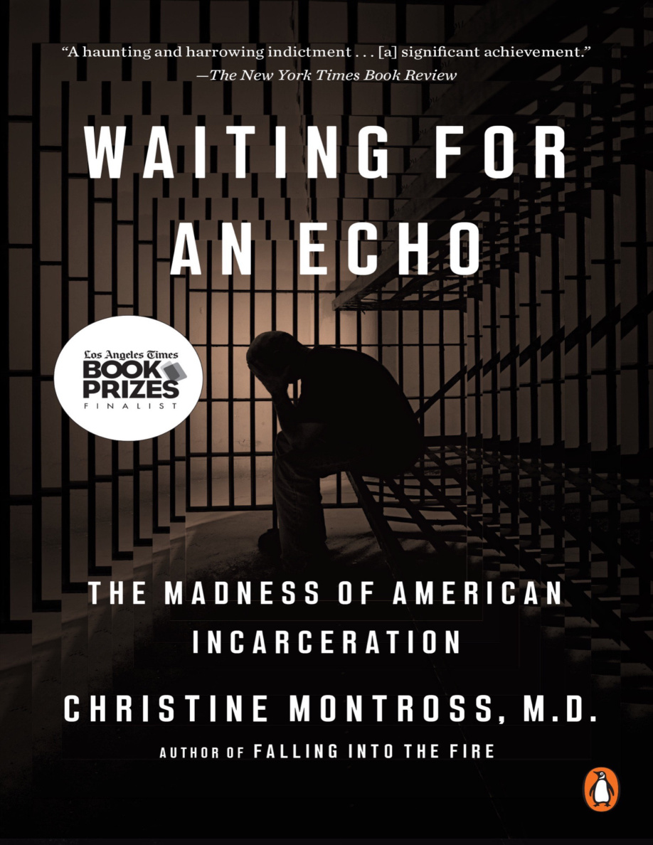 Waiting for an Echo The Madness of American Incarceration PDF Download