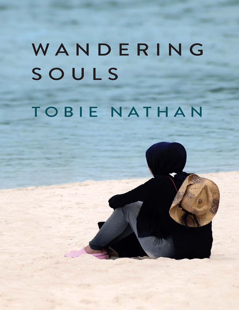 Wandering Souls PDF Download