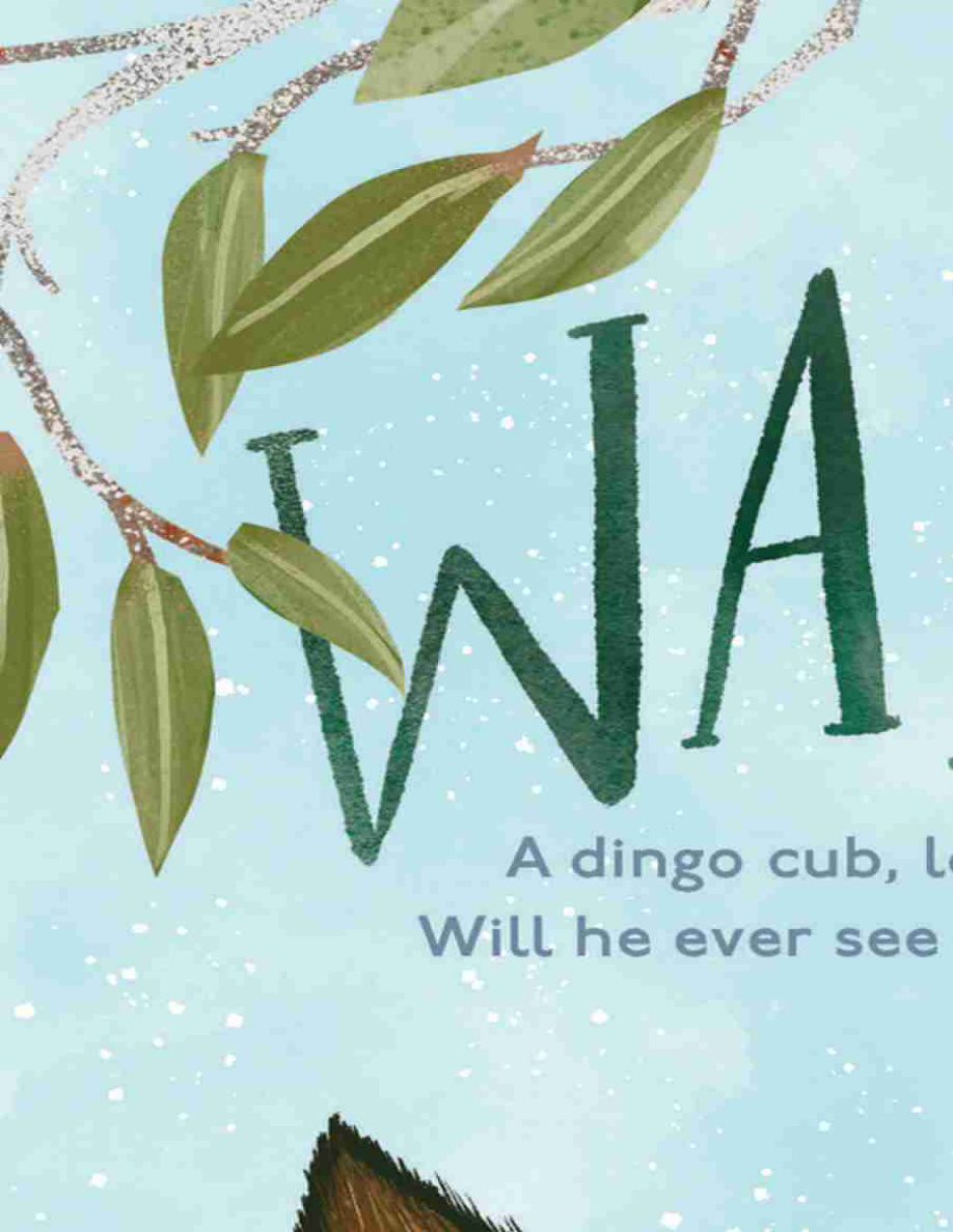Wandi PDF Download