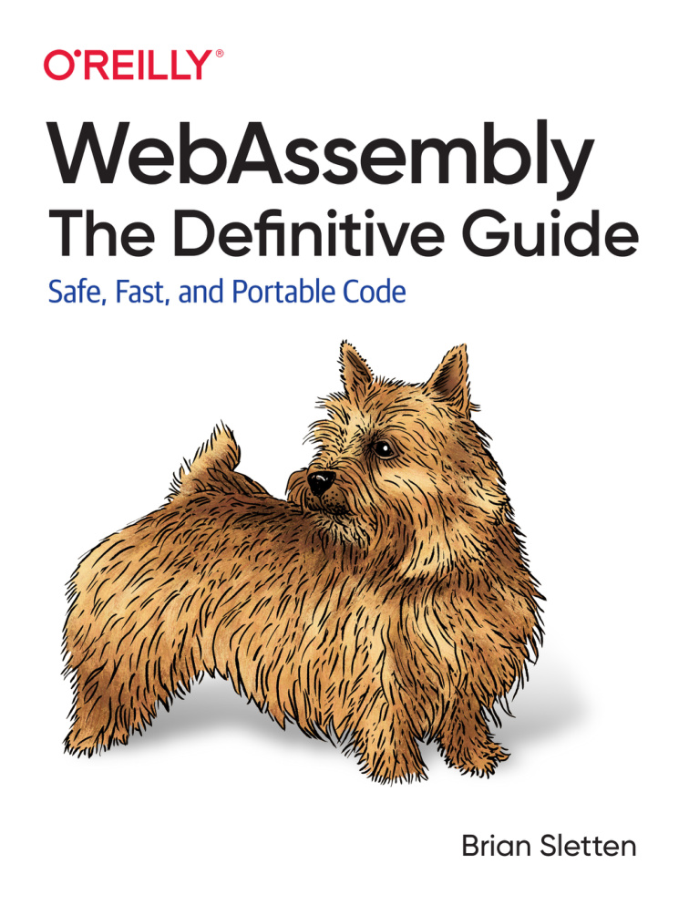 WebAssembly The Definitive Guide Safe, Fast, and Portable Code Sletten Kitap Kapağı