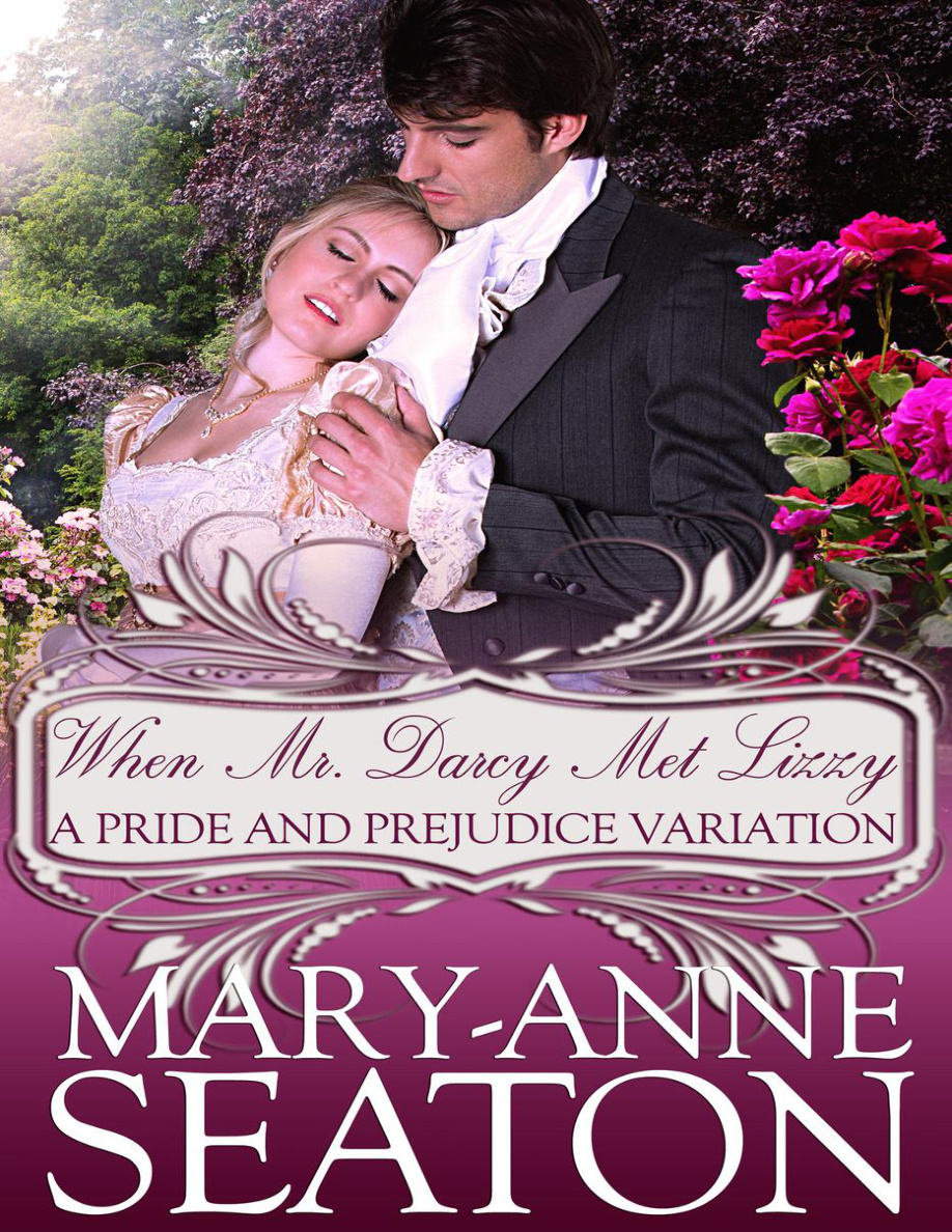 When Mr Darcy met Lizzy PDF Download